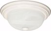 Picture of NUVO Lighting 60/6004 2 Light - 11" - Flush Mount - Alabaster Glass; Color retail packaging