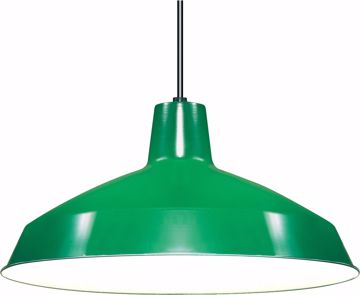 Picture of NUVO Lighting SF76/660 1 Light - 16" - Pendant - Warehouse Shade