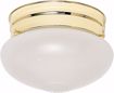 Picture of NUVO Lighting SF77/123 1 Light - 6" - Flush Mount - Small Frosted Grape Mushroom