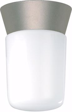 Picture of NUVO Lighting SF77/155 1 Light - 8" - Utility; Ceiling Mount - With White Glass Cylinder