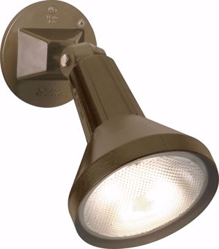 Picture of NUVO Lighting SF77/494 1 Light - 8" - Flood Light; Exterior - PAR38 with Adjustable Swivel