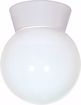 Picture of NUVO Lighting SF77/532 1 Light - 8" - Utility; Ceiling Mount - With White Glass Globe