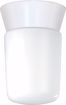 Picture of NUVO Lighting SF77/533 1 Light - 8" - Utility; Ceiling Mount - With White Glass Cylinder