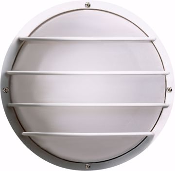Picture of NUVO Lighting SF77/861 1 Light - 10" - Round Cage Wall Fixture - Polysynthetic Body & Lens