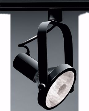 Picture of NUVO Lighting TH225 1 Light - PAR38 - Track Head - Gimbal Ring