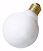 Picture of SATCO A3645 40W G-25 WHITE 220 VOLT Incandescent Light Bulb