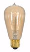 Picture of SATCO S2414 40ST19/CL/9S/120V VINTAGE Incandescent Light Bulb