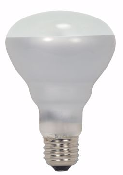 Picture of SATCO S2451 45BR25/FL/HAL 120V Halogen Light Bulb