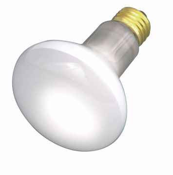 Picture of SATCO S2810 30R20 REFLECTOR 130V Incandescent Light Bulb