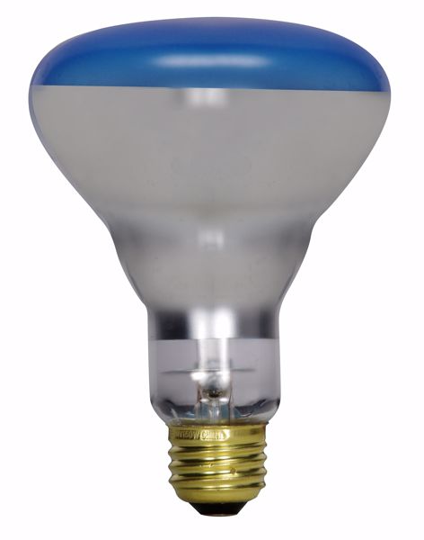 Picture of SATCO S2852 150R30 PLANT LITE REFLECTOR Incandescent Light Bulb