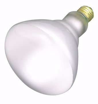 Picture of SATCO S2853 65BR40 FLOOD 120 Volt Incandescent Light Bulb