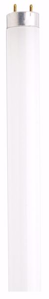 Picture of SATCO S2919 F32T8/850/ECO 22143 Fluorescent Light Bulb