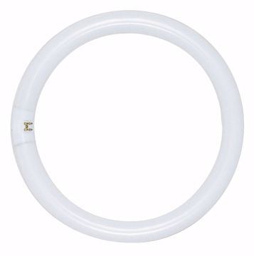 Picture of SATCO S2950 FC6T9/WW Fluorescent Light Bulb