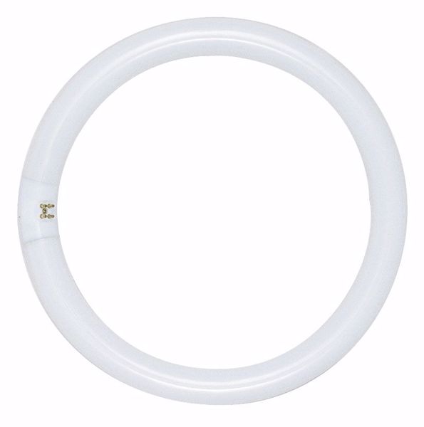 Picture of SATCO S2950 FC6T9/WW Fluorescent Light Bulb