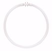 Picture of SATCO S2956 FPC22/835 #20712 Fluorescent Light Bulb