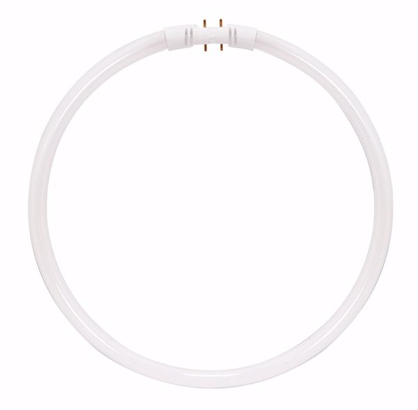 Picture of SATCO S2956 FPC22/835 #20712 Fluorescent Light Bulb