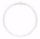 Picture of SATCO S2956 FPC22/835 #20712 Fluorescent Light Bulb