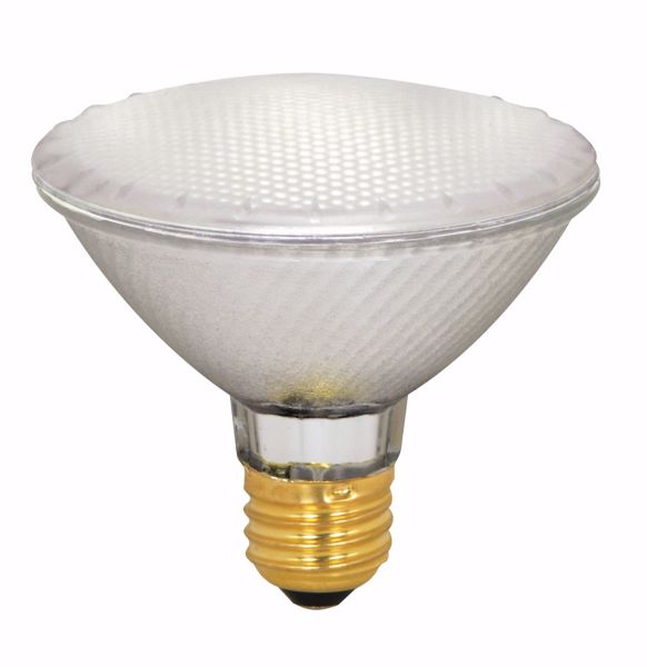 Picture of SATCO S4131 39PAR30/HAL/XEN/FL/Frosted/120V Halogen Light Bulb