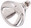 Picture of SATCO S4757 250BR40/1 CLEAR HEAT LAMP Incandescent Light Bulb