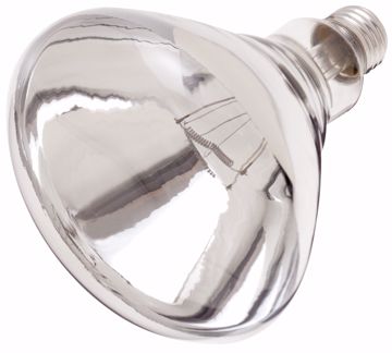 Picture of SATCO S4885 250R40/1/TF SHATTER CLEAR Incandescent Light Bulb