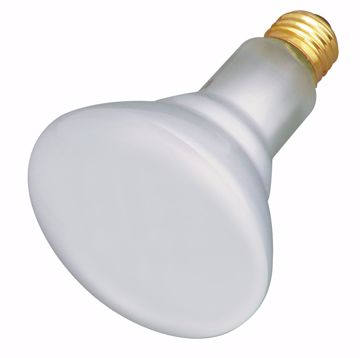 Picture of SATCO S4887 65BR30/TF SHATTER PROOF Incandescent Light Bulb