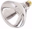 Picture of SATCO S4999 250R40/1 CLEAR HEAT LAMP Incandescent Light Bulb