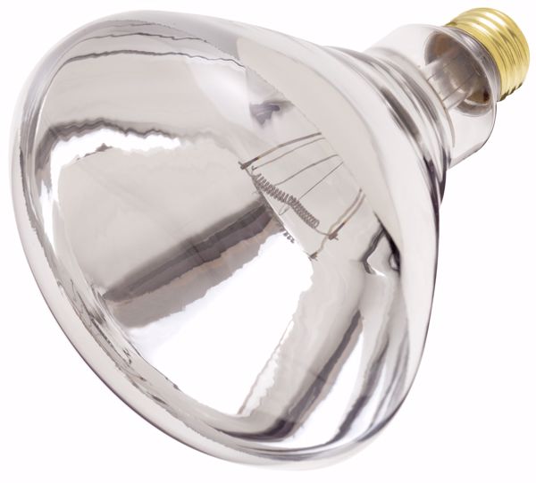 Picture of SATCO S4999 250R40/1 CLEAR HEAT LAMP Incandescent Light Bulb