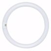 Picture of SATCO S6506 FC16T9/CW SATCO Fluorescent Light Bulb