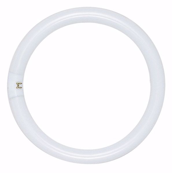 Picture of SATCO S6509 FC6T9/CW/RS Fluorescent Light Bulb