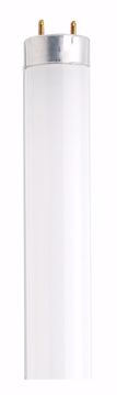 Picture of SATCO S6517 F30T8/CW Fluorescent Light Bulb