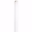 Picture of SATCO S6559 F14T12/CW 21409 Fluorescent Light Bulb