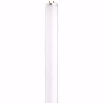 Picture of SATCO S6559 F14T12/CW 21409 Fluorescent Light Bulb