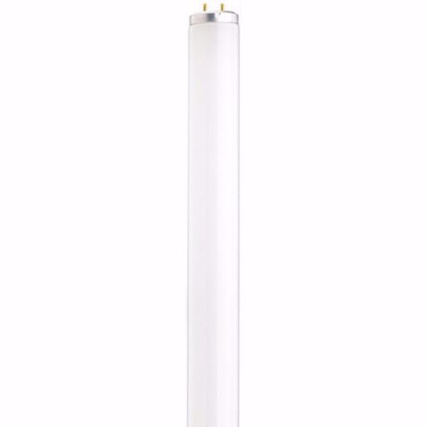 Picture of SATCO S6559 F14T12/CW 21409 Fluorescent Light Bulb