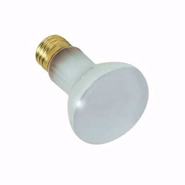 Picture of SATCO S7001 100R20/FL 130V SHORT E26 POOL Incandescent Light Bulb
