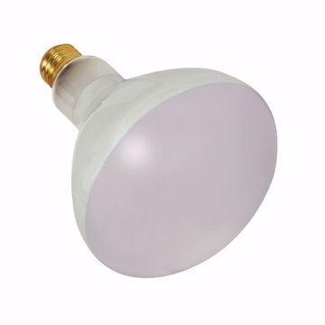 Picture of SATCO S7004 300BR40/FL/12V POOL LAMP Incandescent Light Bulb