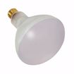 Picture of SATCO S7007 500BR40 FL 130V E26 Incandescent Light Bulb