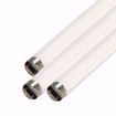 Picture of SATCO S7925 F15T8/WARM WHITE Fluorescent Light Bulb