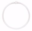Picture of SATCO S8163 FC55T5/HO/841 Fluorescent Light Bulb