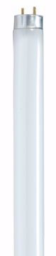 Picture of SATCO S8404 F17T8/830/ENV Fluorescent Light Bulb