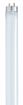 Picture of SATCO S8432 F17T8/850/ENV Fluorescent Light Bulb