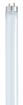 Picture of SATCO S8436 F32T8/865/ENV Fluorescent Light Bulb