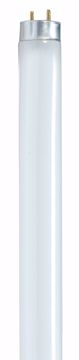 Picture of SATCO S8436 F32T8/865/ENV Fluorescent Light Bulb