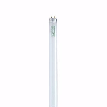 Picture of SATCO S8445 F32T8/841/XL/ENV Fluorescent Light Bulb