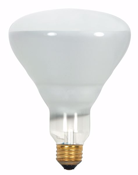 Picture of SATCO S8521 65BR40/FL 130V 5M Incandescent Light Bulb