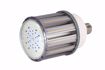 Picture of SATCO S8717 120W/LED/HID/5000K/277-347V/EX LED Light Bulb