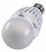 Picture of SATCO S8737 20WA21/LED/HID/2700K/120-277V/ LED Light Bulb