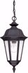 Picture of NUVO Lighting 60/2038 Cortland - 1 Light Hanging Lantern- with Seeded Glass