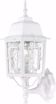 Picture of NUVO Lighting 60/3487 Banyan - 1 Light - 17" Outdoor Wall with Clear Water Glass; Color retail packaging