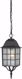 Picture of NUVO Lighting 60/4913 Adams - 1 Light - 16" Outdoor Hanging with Frosted Glass