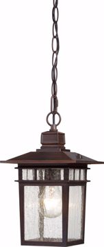 Picture of NUVO Lighting 60/4955 Cove Neck - 1 Light - 12" Outdoor Hang with Clear Seed Glass